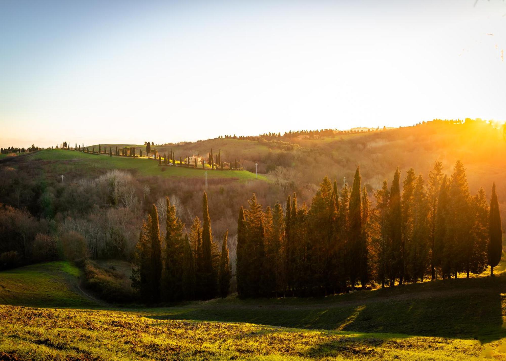モンタイオーネ Borgo Il Poggio Agritourismoヴィラ エクステリア 写真