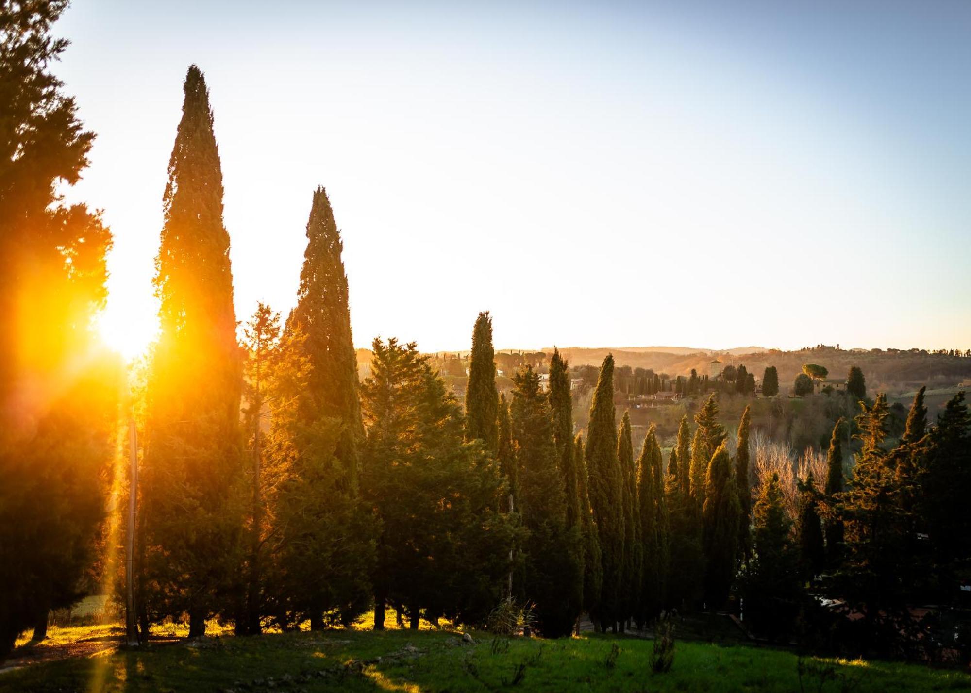 モンタイオーネ Borgo Il Poggio Agritourismoヴィラ エクステリア 写真